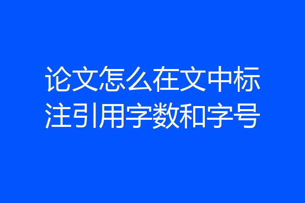 论文怎么在文中标注引用字数和字号