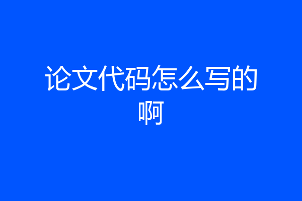 论文代码怎么写的啊