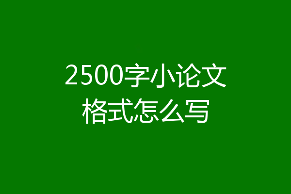2500字小论文格式怎么写