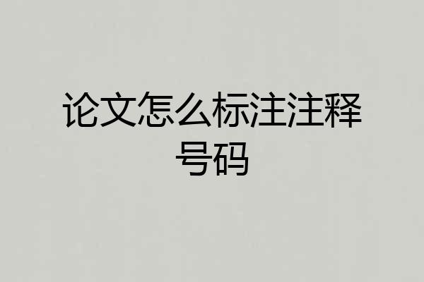 论文怎么标注注释号码