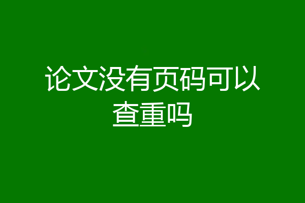 论文没有页码可以查重吗