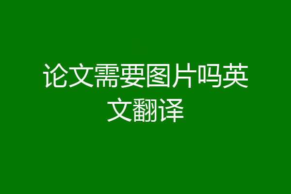 论文需要图片吗英文翻译