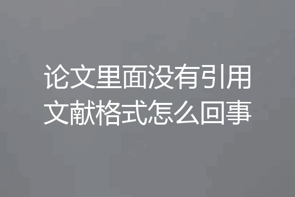 论文里面没有引用文献格式怎么回事