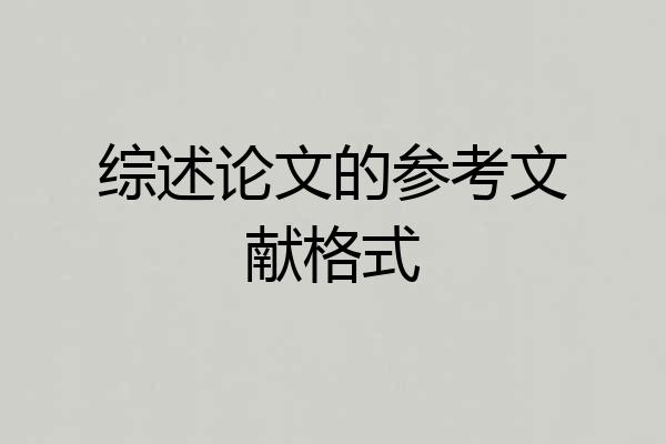 综述论文的参考文献格式
