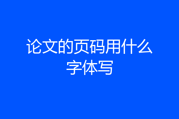 论文的页码用什么字体写