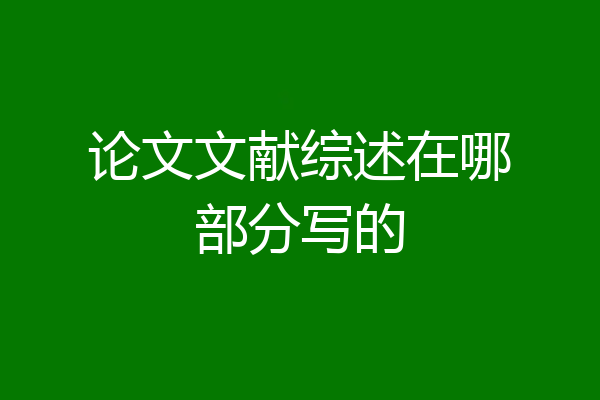 论文文献综述在哪部分写的