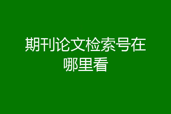 期刊论文检索号在哪里看