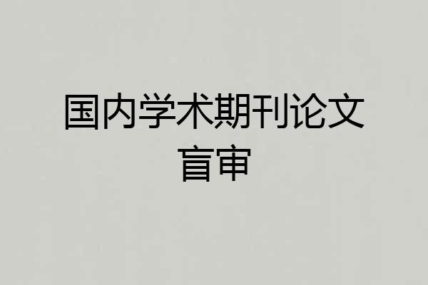 国内学术期刊论文盲审