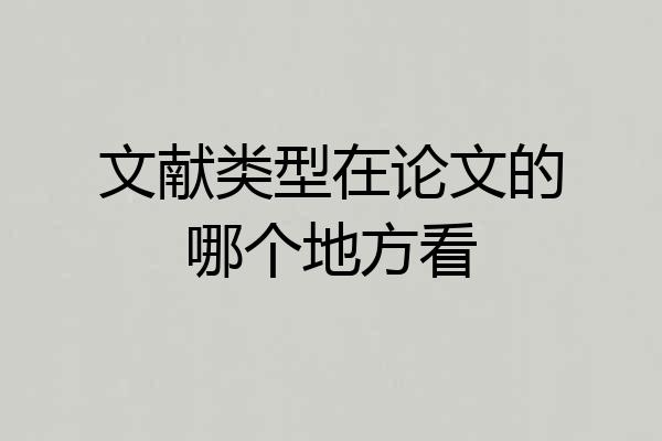 文献类型在论文的哪个地方看