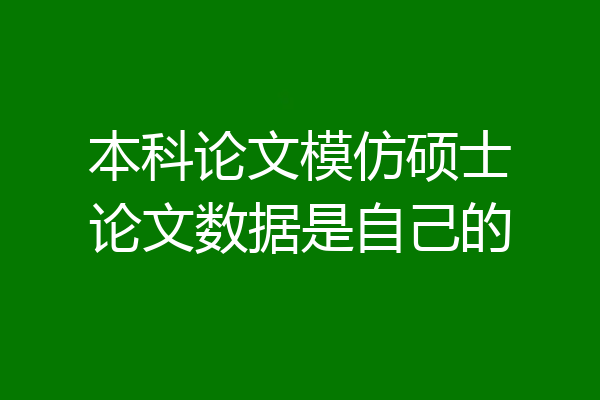 本科论文模仿硕士论文数据是自己的