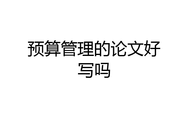 预算管理的论文好写吗