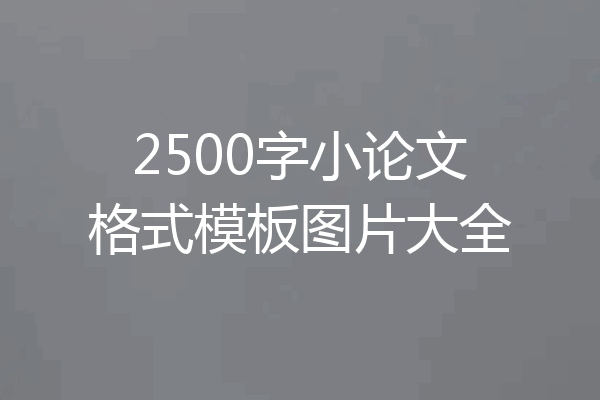 2500字小论文格式模板图片大全