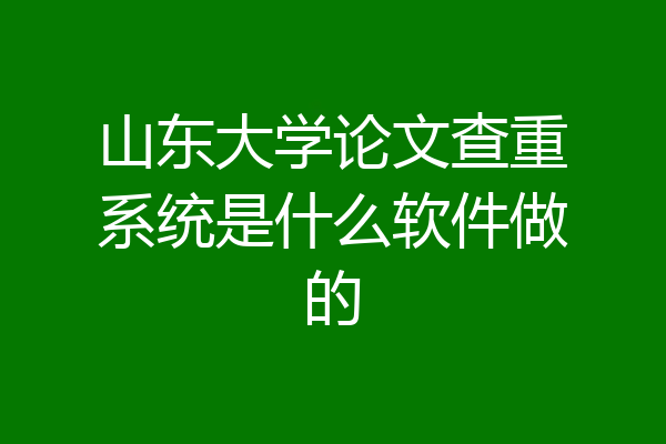 山东大学论文查重系统是什么软件做的
