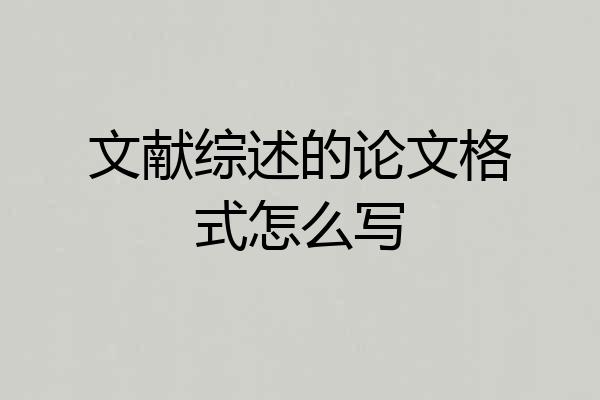 文献综述的论文格式怎么写