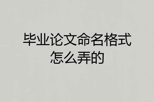 毕业论文命名格式怎么弄的