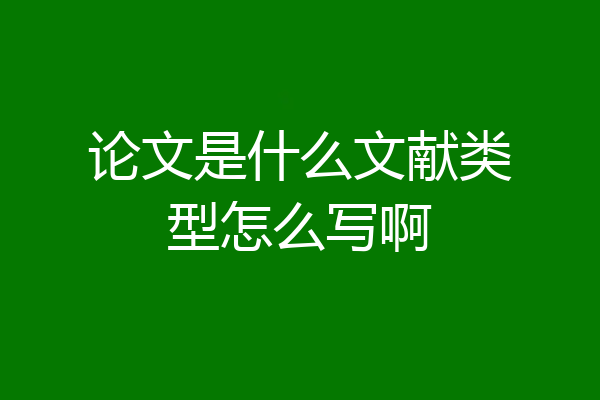 论文是什么文献类型怎么写啊