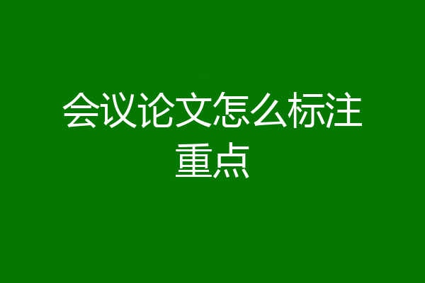 会议论文怎么标注重点