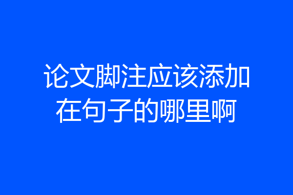 论文脚注应该添加在句子的哪里啊