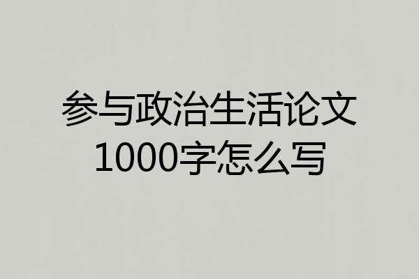 参与政治生活论文1000字怎么写