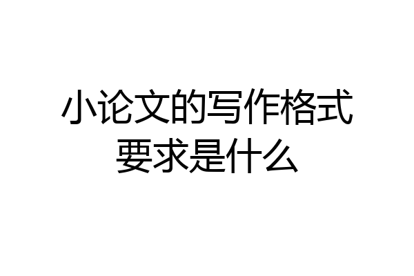 小论文的写作格式要求是什么