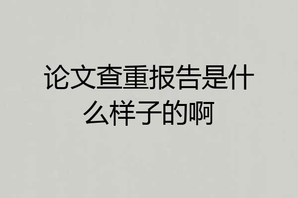 论文查重报告是什么样子的啊