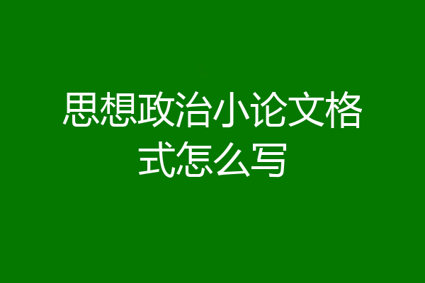 思想政治小论文格式怎么写