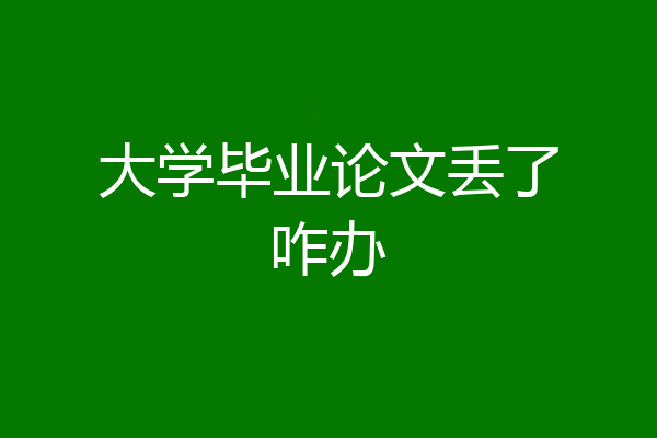 大学毕业论文丢了咋办