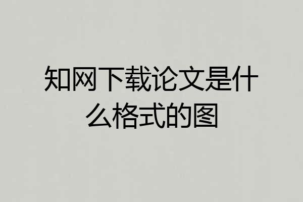知网下载论文是什么格式的图