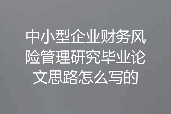 中小型企业财务风险管理研究毕业论文思路怎么写的