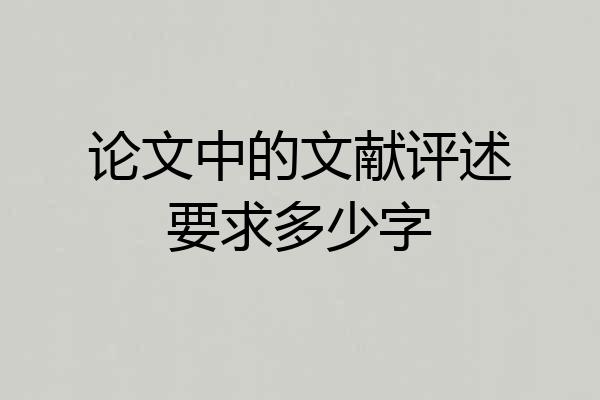论文中的文献评述要求多少字
