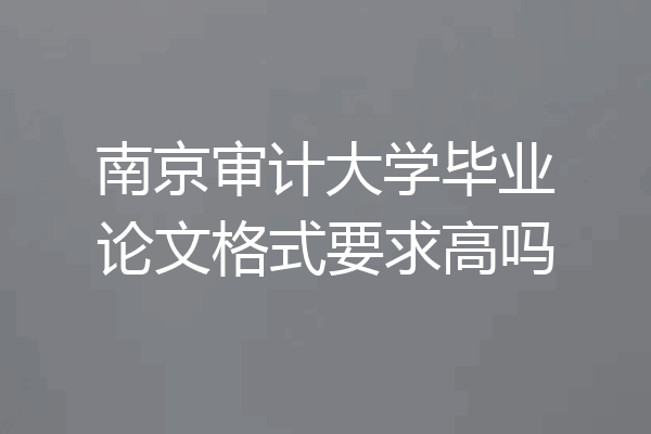 南京审计大学毕业论文格式要求高吗