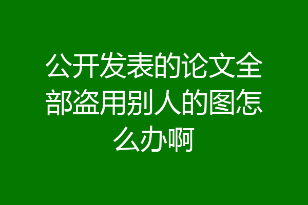 公开发表的论文全部盗用别人的图怎么办啊