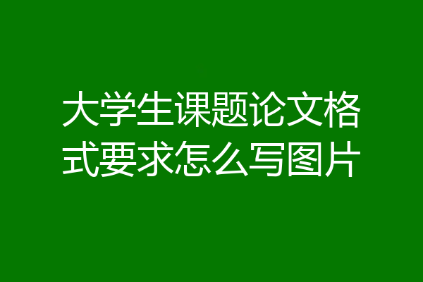 大学生课题论文格式要求怎么写图片