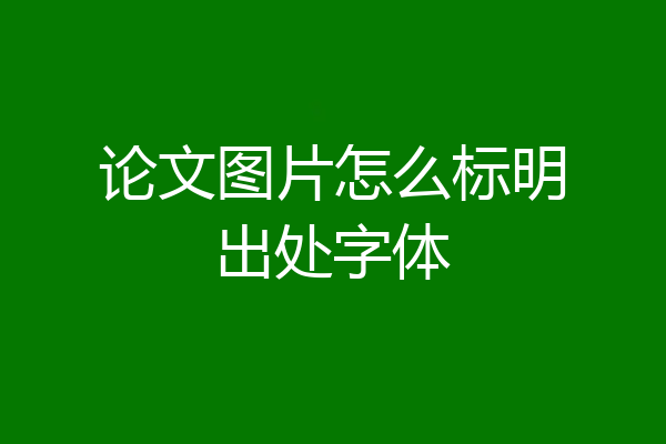 论文图片怎么标明出处字体