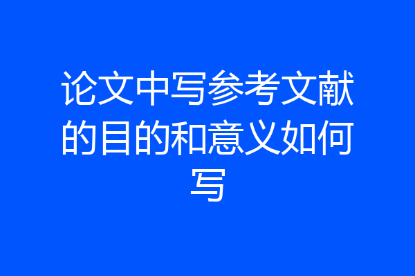 论文中写参考文献的目的和意义如何写