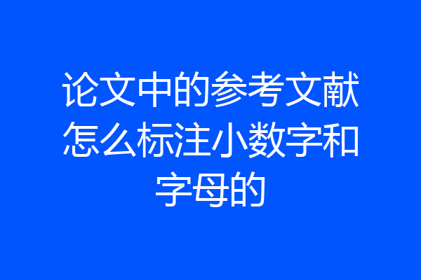 论文中的参考文献怎么标注小数字和字母的