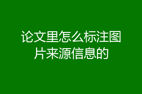 论文里怎么标注图片来源信息的