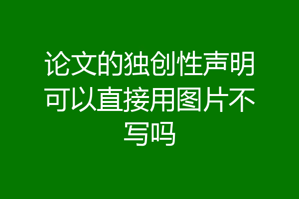 论文的独创性声明可以直接用图片不写吗