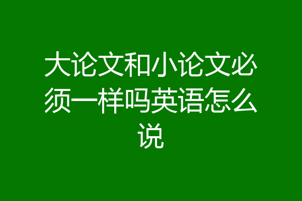 大论文和小论文必须一样吗英语怎么说