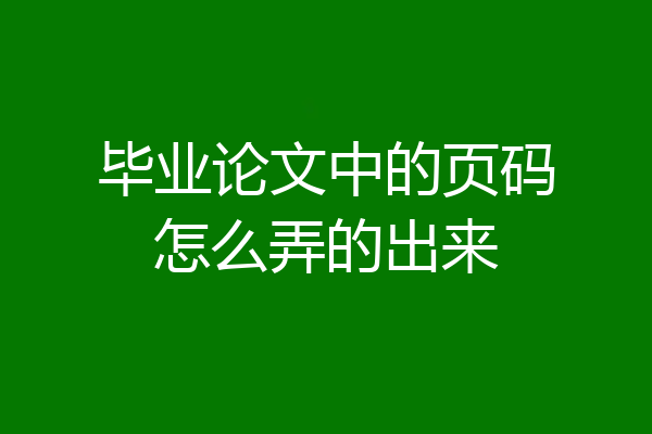 毕业论文中的页码怎么弄的出来