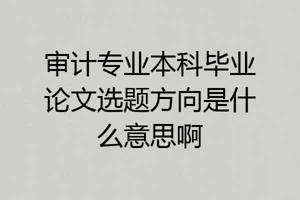 审计专业本科毕业论文选题方向是什么意思啊
