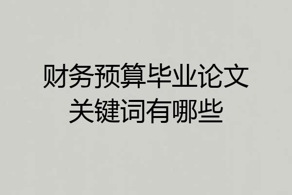 财务预算毕业论文关键词有哪些