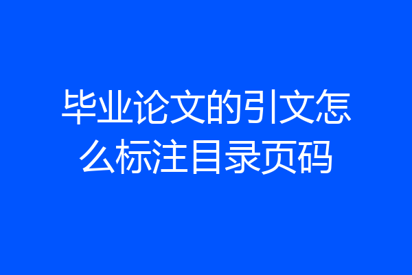 毕业论文的引文怎么标注目录页码