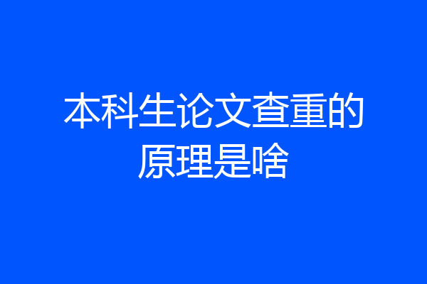 本科生论文查重的原理是啥