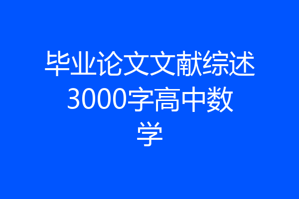 毕业论文文献综述3000字高中数学