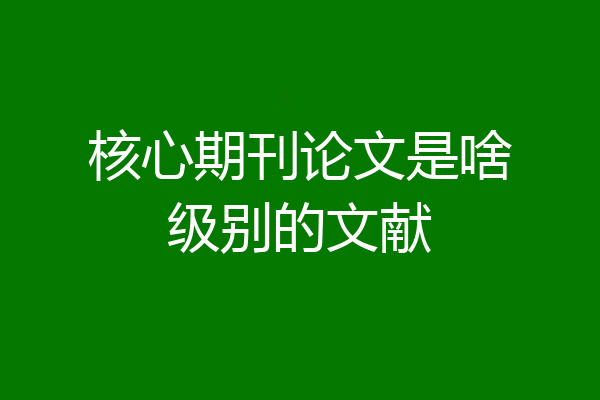 核心期刊论文是啥级别的文献