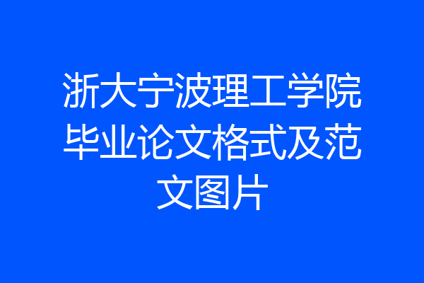 浙大宁波理工学院毕业论文格式及范文图片