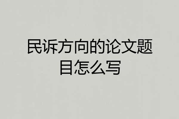 民诉方向的论文题目怎么写