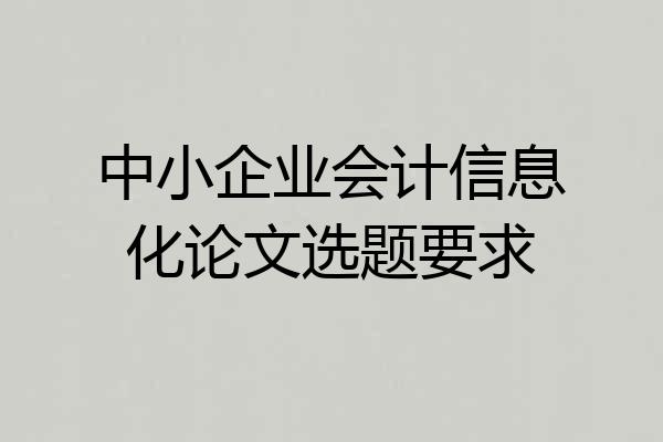 中小企业会计信息化论文选题要求