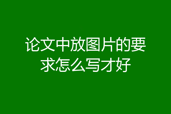 论文中放图片的要求怎么写才好